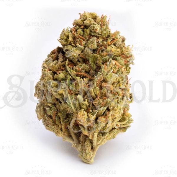 Gorilla Glue - Imagen 2