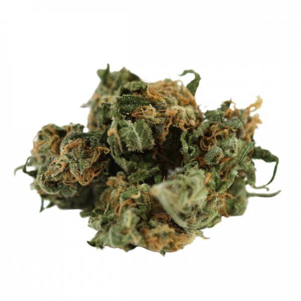 Critical Plus - Imagen 2